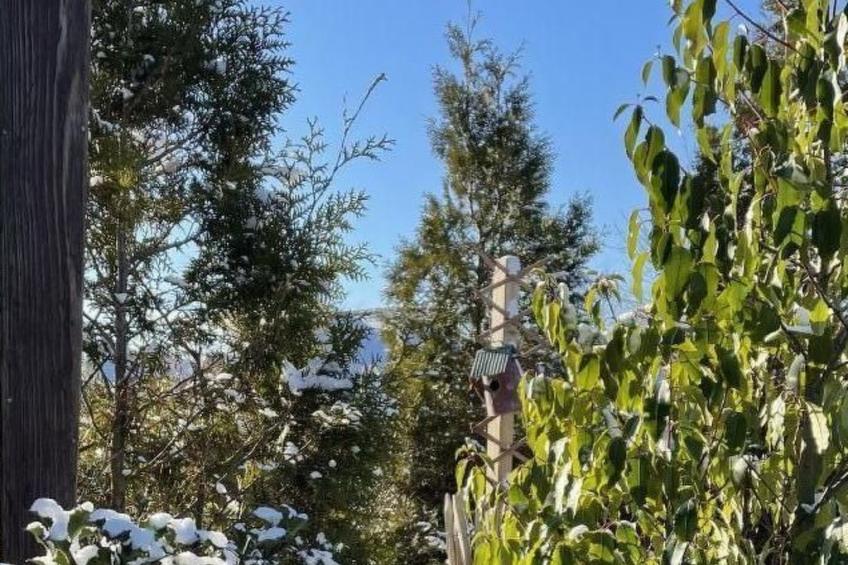 Ruhige Wohnung in Risum mit Garten und Terrasse - foto 34