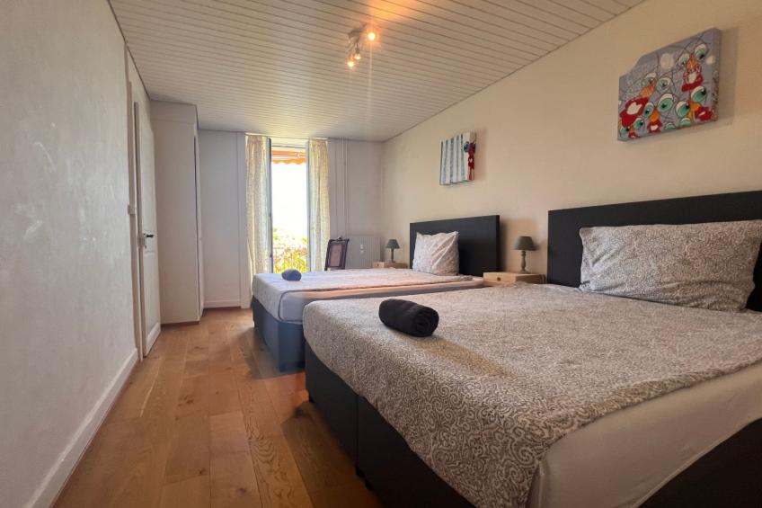 Vigneronne, Vigne - foto 7