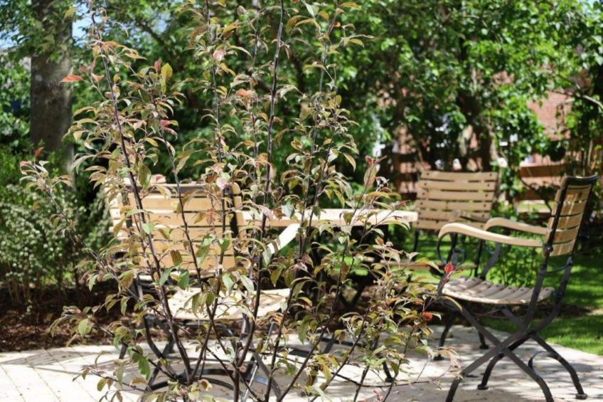 Kapteins Hüüs - ganzes Haus - foto 18