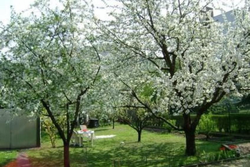 Haus in Budapest - foto 2