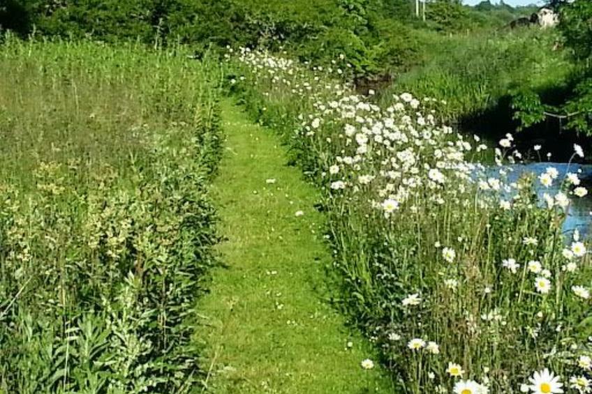 Cottage "James Tymon" mit Terrasse und Garten - foto 5