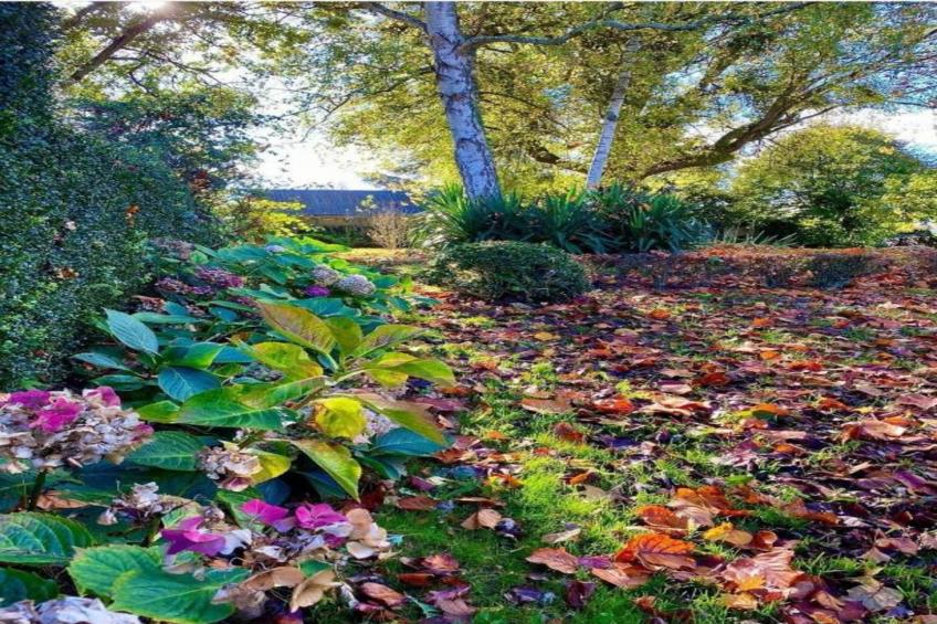 Heslonniere - foto 34
