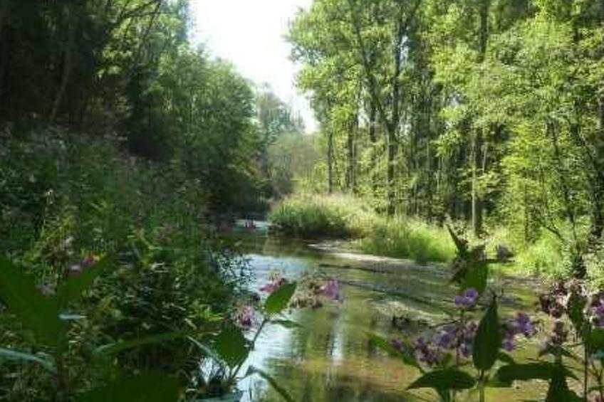 Haus mit  freier Fahrradnutzung und kleinem Boot - foto 21