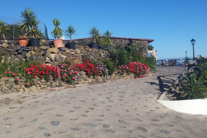 Ecolodge Teneriffa: Entspannung und Natur mit Panoramablick - foto 2