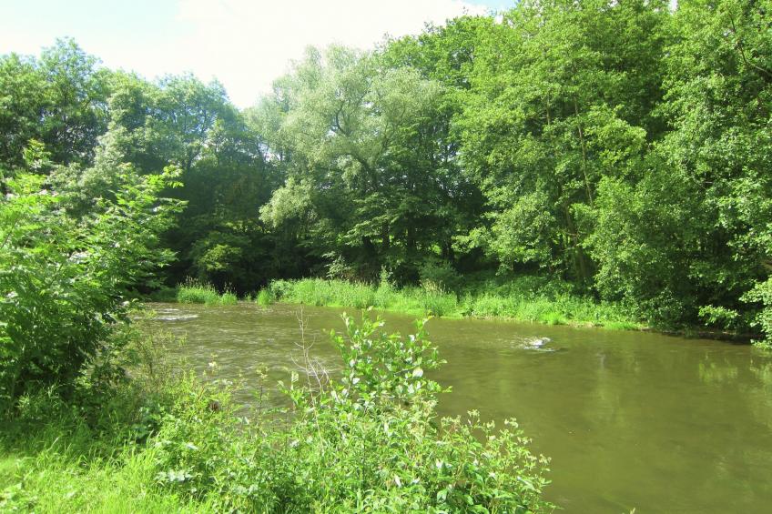 Gites du Viroin - foto 38