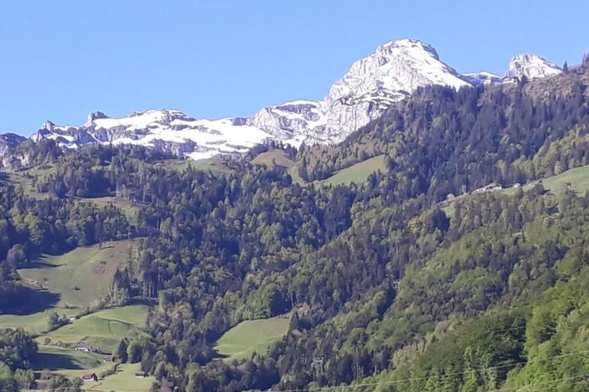 Ferienwohnung - foto 23