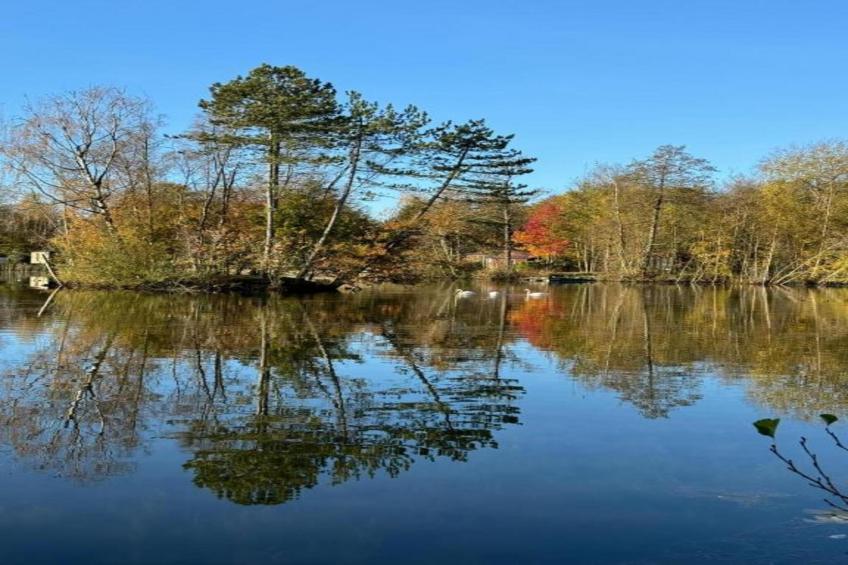 Maison de vacances - QUERRIEN - foto 40