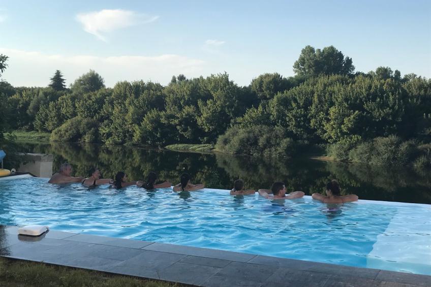 Schloss mit Überlaufpool an der Dordogne - foto 23