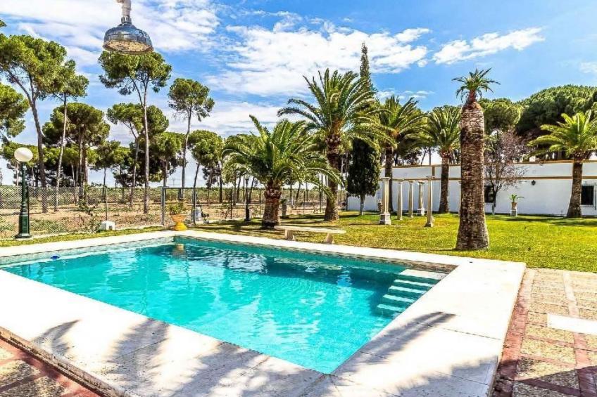 Hacienda El Corchuelo - foto 47