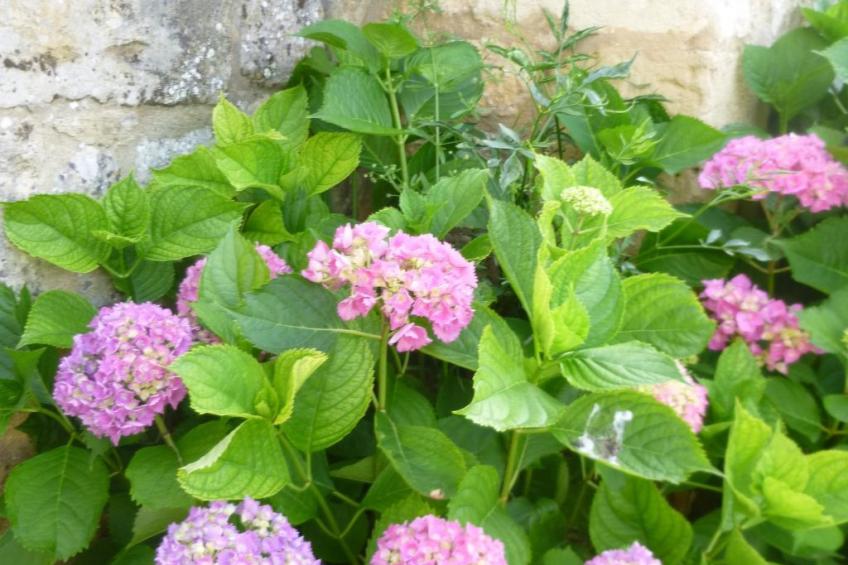 Fachwerkhaus "gitealienor perigord" - foto 38