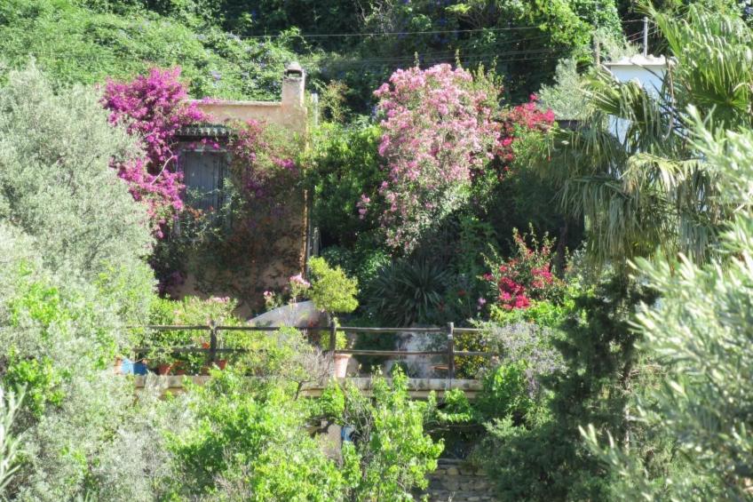 Gemütliches Ferienhaus in Tíjola mit Grill, Garten und Terrasse