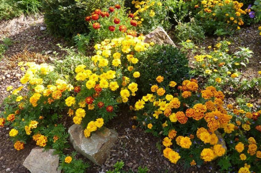 Appartement mit Terrasse - foto 24