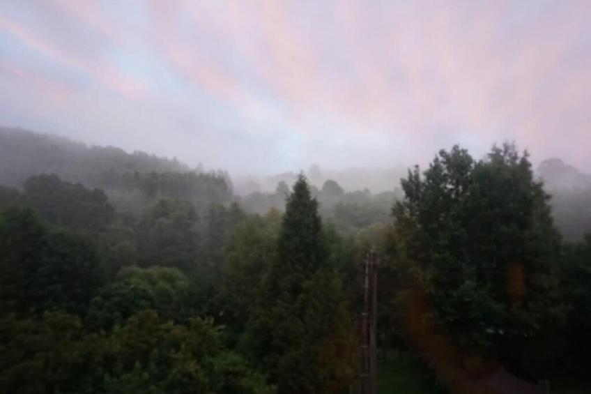 790730 - foto 39