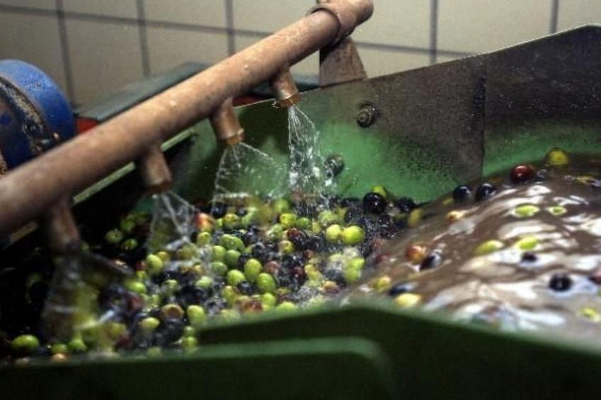 Helle Wohnung in den Hügeln des Gardasees - foto 33