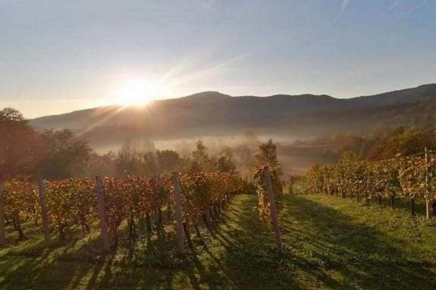 Golden Horizon Holiday Home with Terrace and Garden - One Bedroom Holiday Home with Terrace and Garden - foto 46