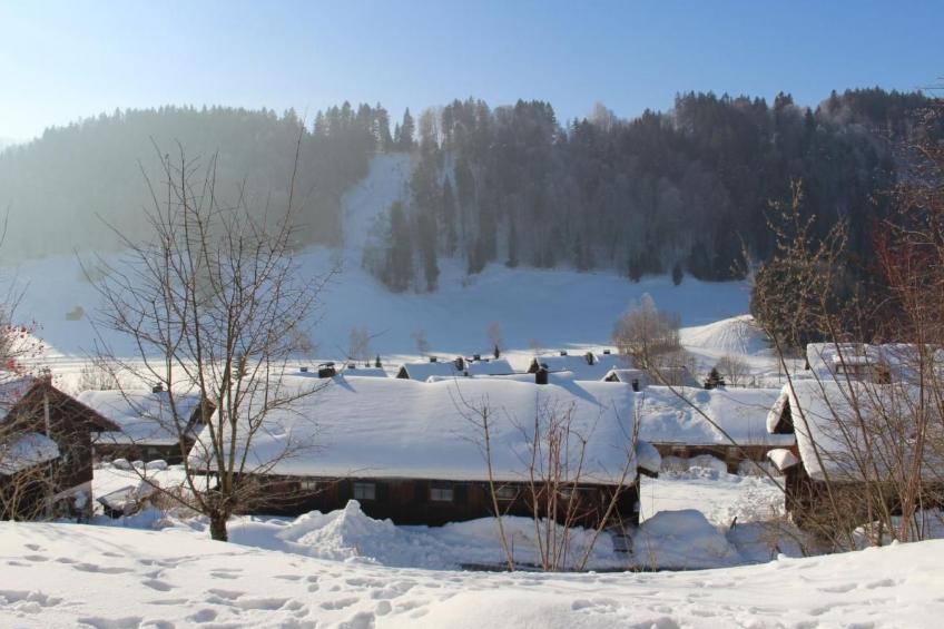 Alpkönigin - foto 24