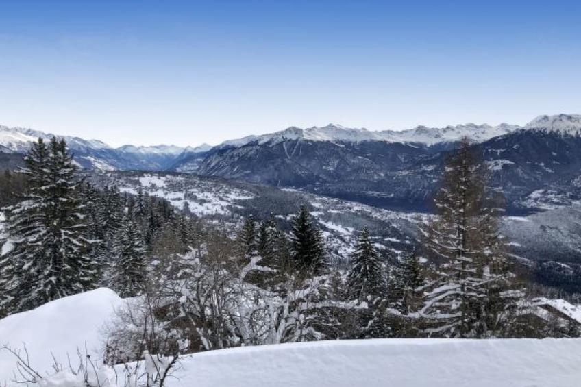 Tiny House facing the Alps - Ski in and out - foto 15