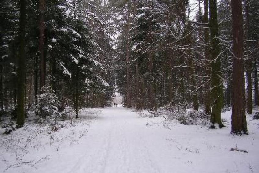 Nur-Dach-Ferienhaus für vier Personen - foto 19