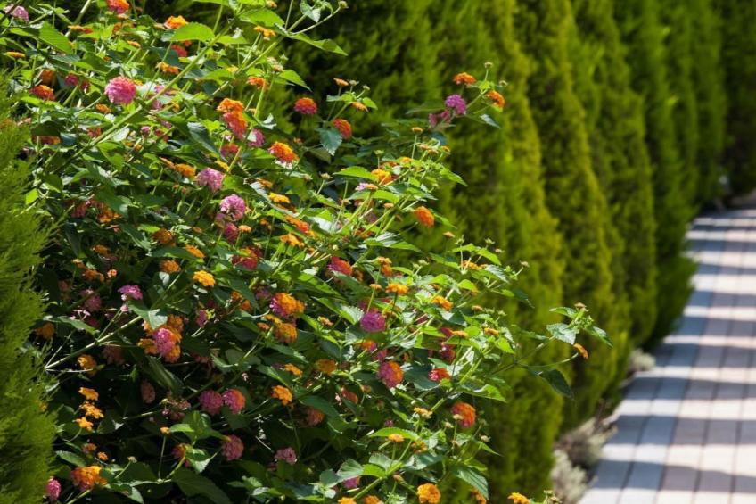 Wohnung in Pallini mit Eigener Terrasse - foto 33