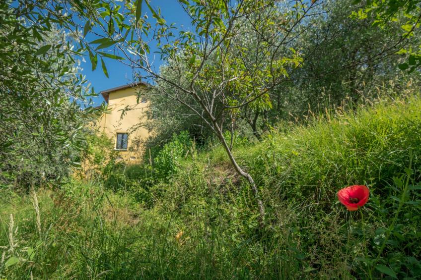 Villa Garibaldino - foto 5