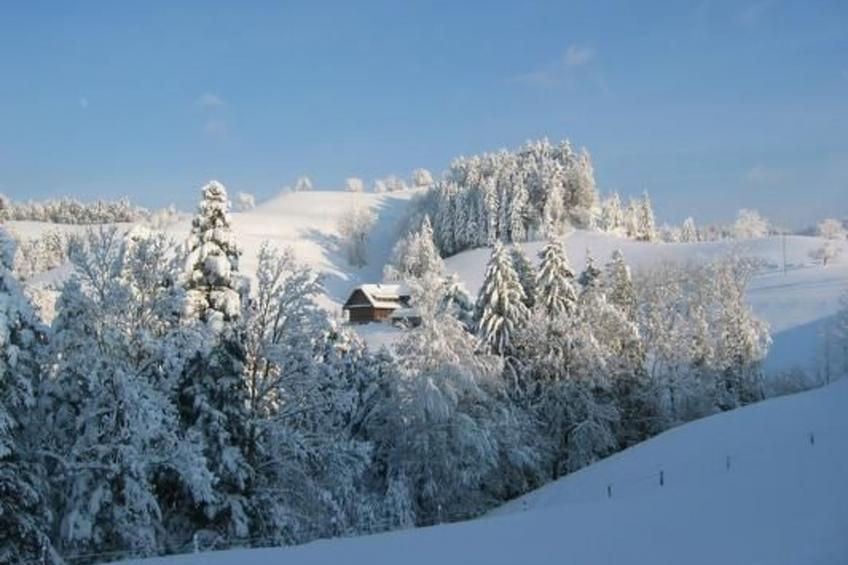 Ober-Tiefenbühl - foto 17