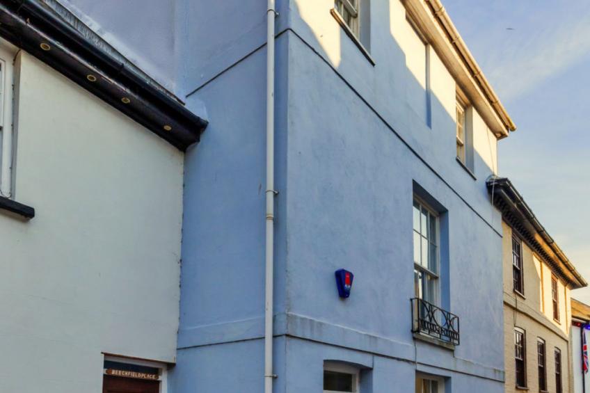 Blue Monkey - foto 17