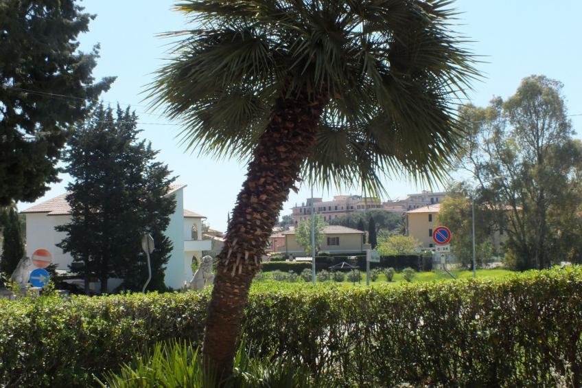 Ruhige Wohnung am Meer - foto 16