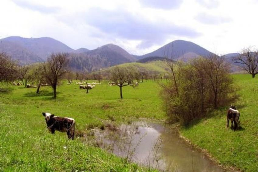Casa Crina in Karpaten-Dorf in Siebenbürgen - foto 49