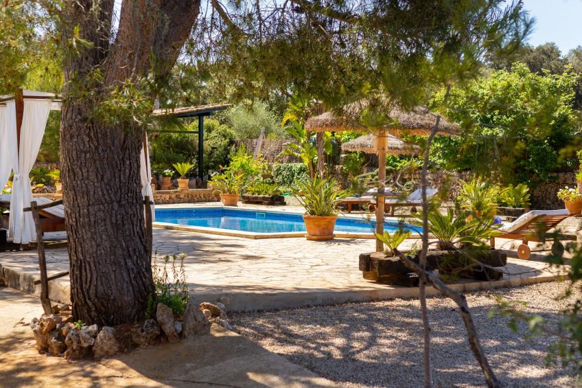 Mulet Llubi - foto 33