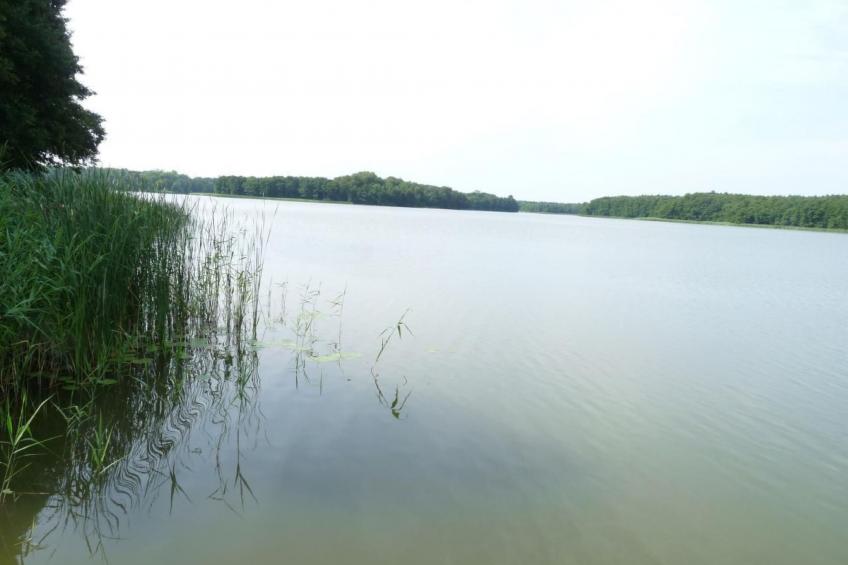 Traumurlaub am See - foto 14