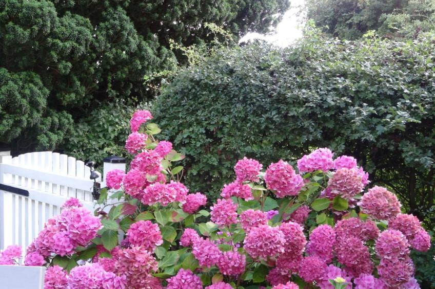 Geltinger Bucht - foto 14