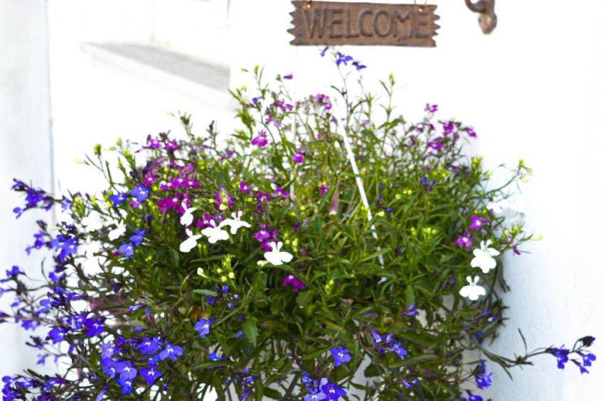 mit privatem Garten, Meerblick und Gemeinschaftspool - foto 4