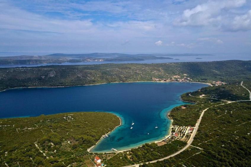 Gorgonia S2 - foto 18