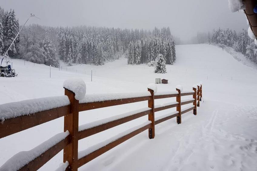 Ferienwohnung Herrischried an der Skipiste - foto 27