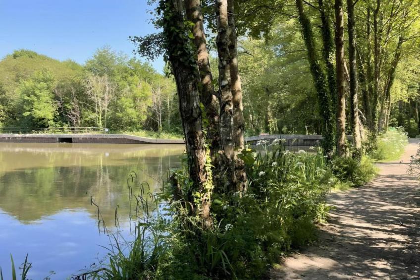 Little Dunley - Oaktree Cottage - foto 22