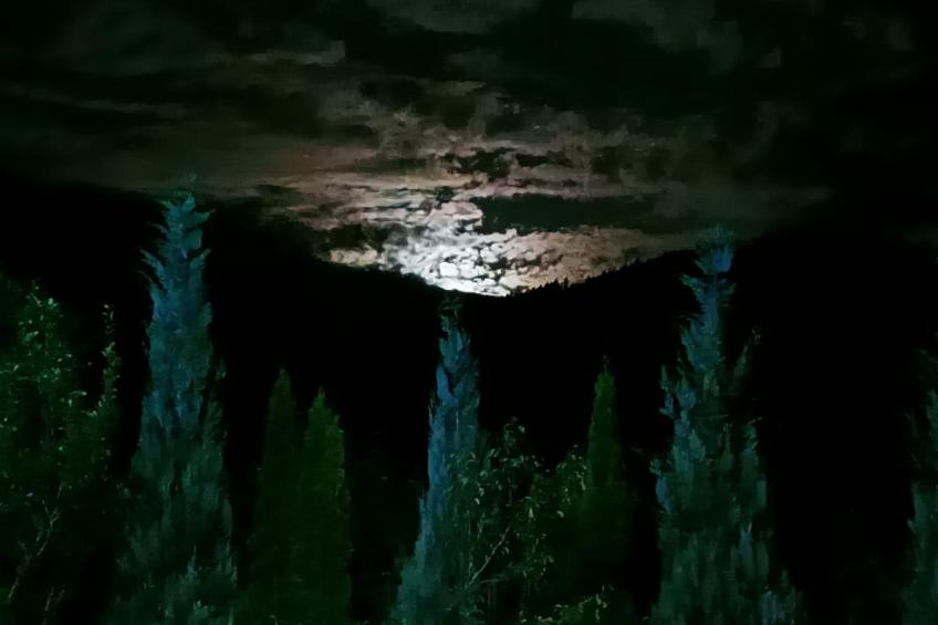 Vila Roberta Breaza Brasov - foto 21