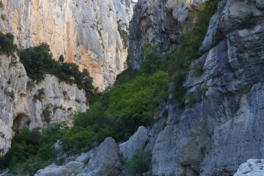 pin parasol - foto 49