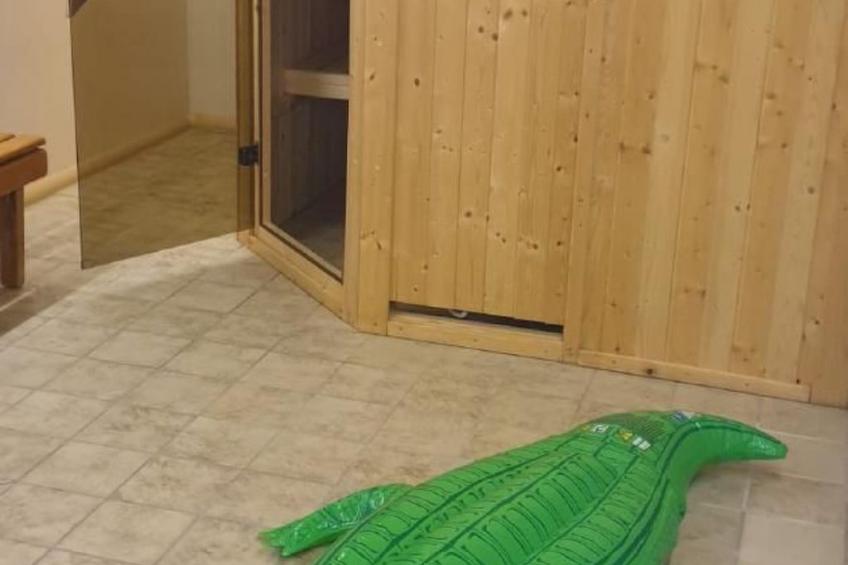 Fewo mit eigener Sauna - foto 15