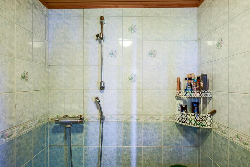 Linnunlaulu - foto 18