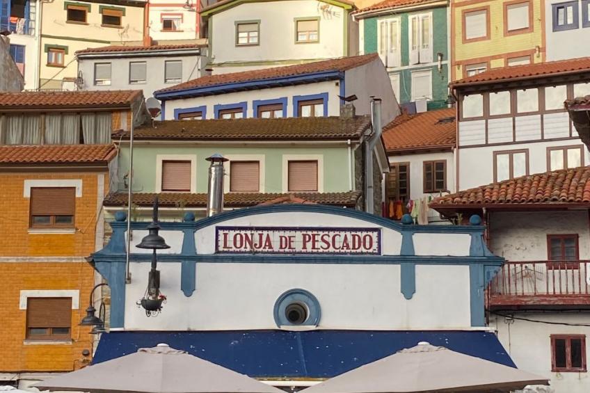 Ländliches Anwesen "Mar y Montaña" (Meer und Berge) - foto 18