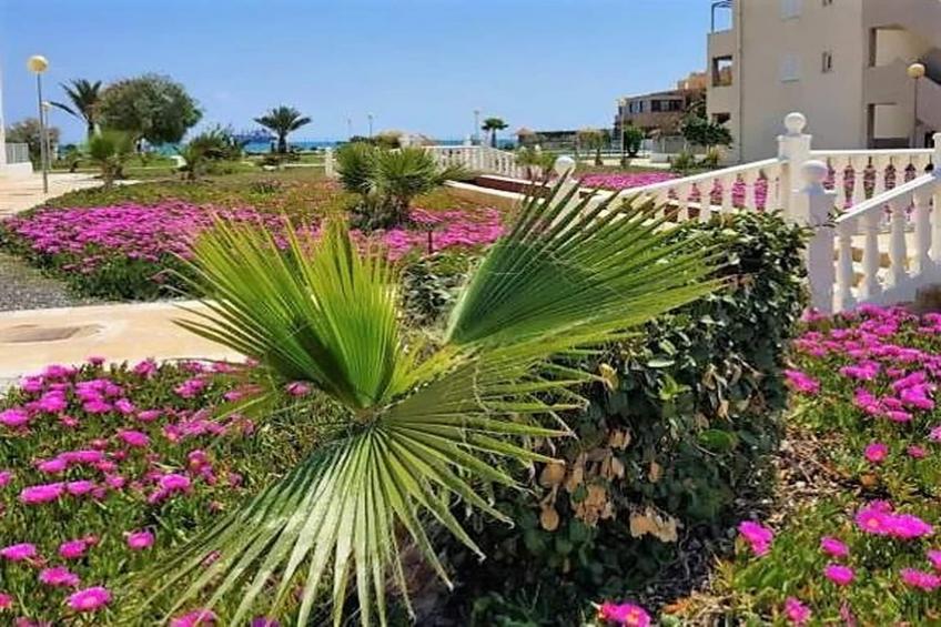 Natura World Duplex con patio privado 2b - foto 36