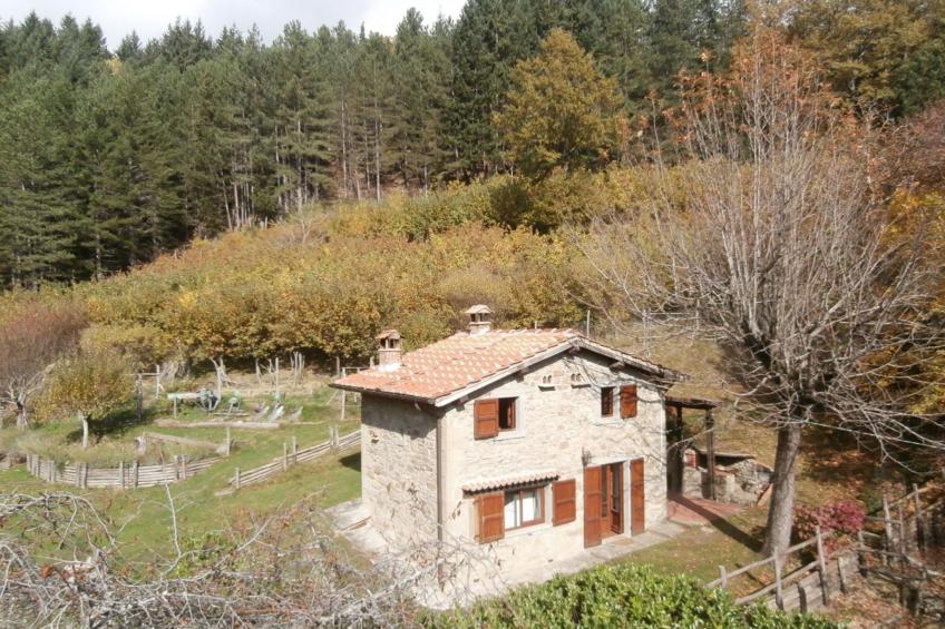 Appartement mit Grill, gemeinsamem Pool und Garten