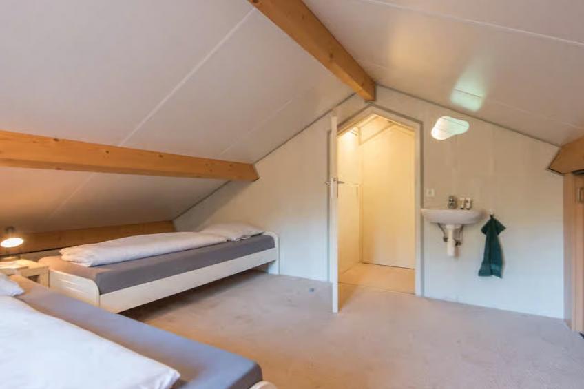 De Rode Ibis - foto 10