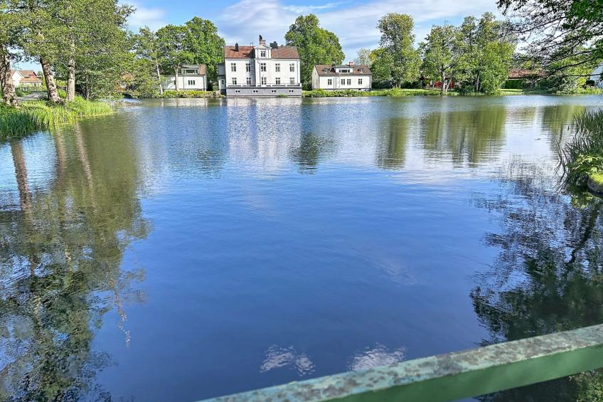 Villa Fröseke - foto 24