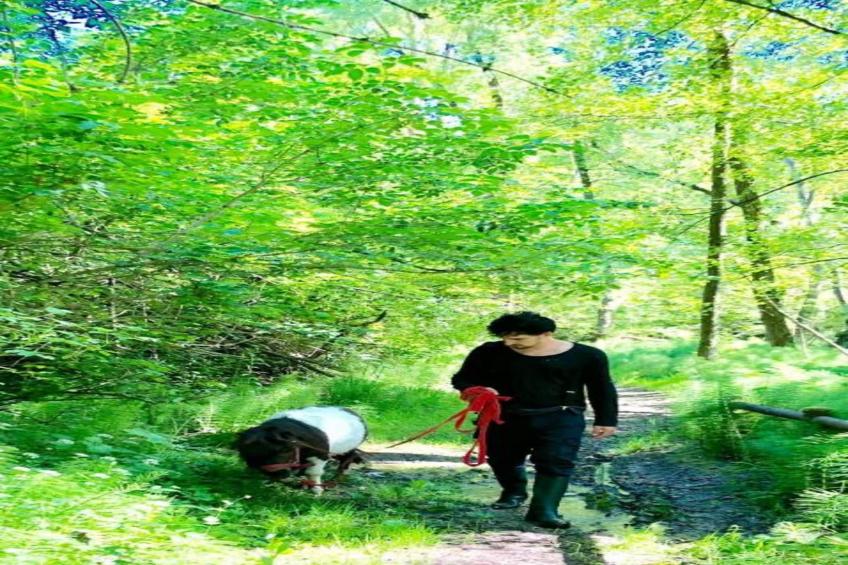 Villa Carpaneto - foto 25