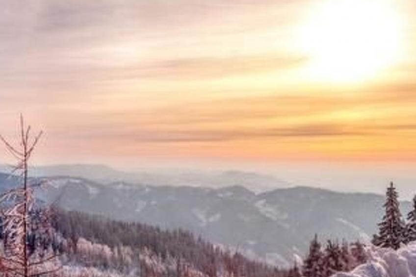 Traumwohnung - foto 42