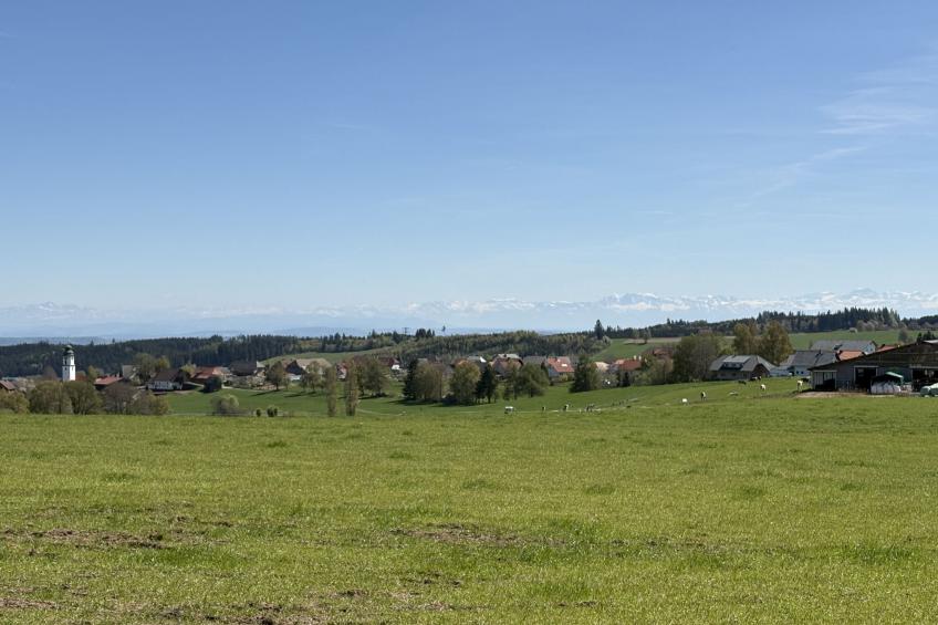 Alpenblick - foto 14