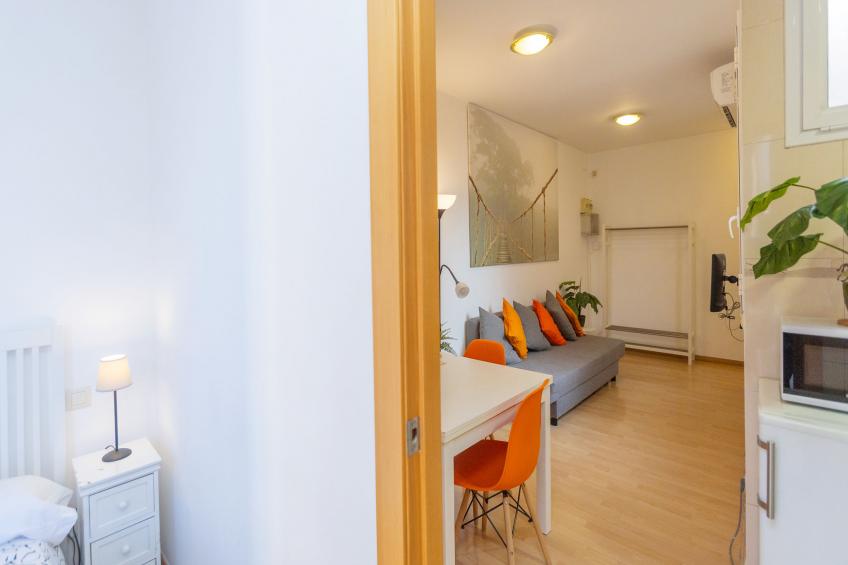 Eixample Dret Sagrada Família Provença - foto 11