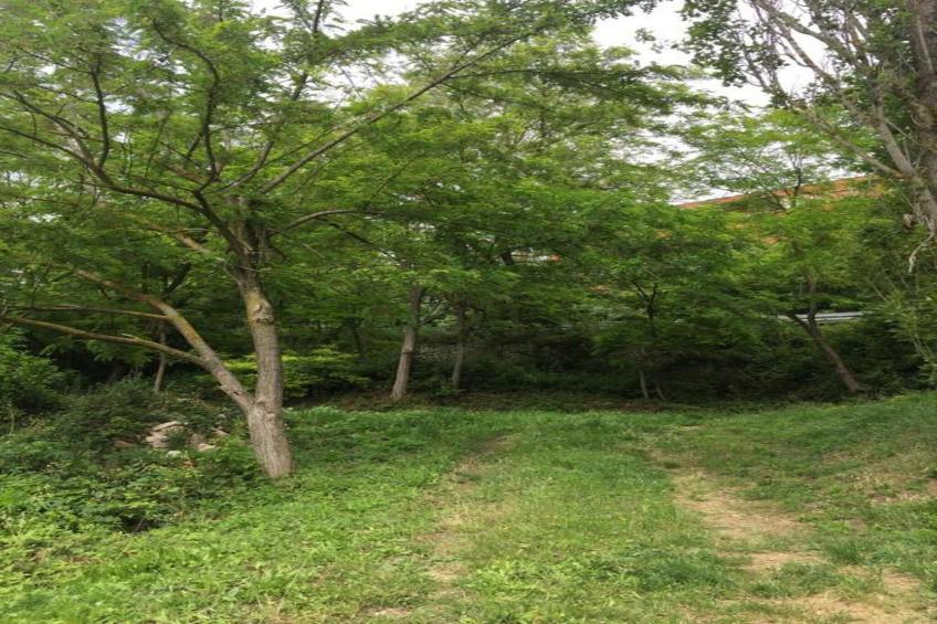 Piano Giardino - foto 13