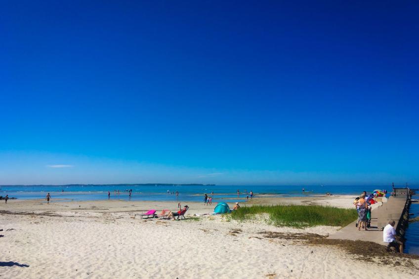 in Lutterbek mit Kleinem Garten - foto 20